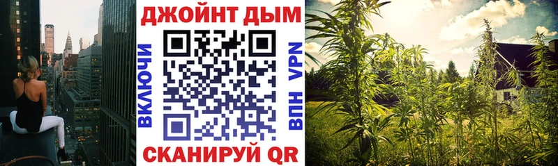 Магазин наркотиков Гдов Канабис  Cocaine  ГАШИШ  АМФ  Мефедрон 