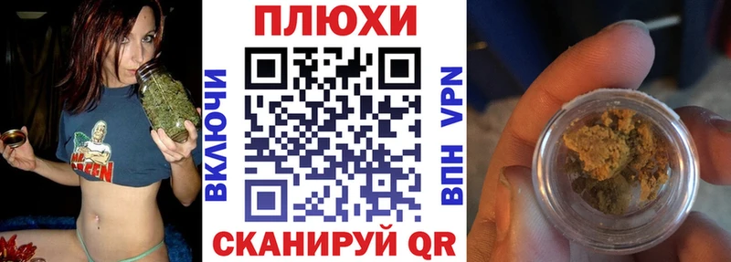 купить   Гдов  Гашиш индика сатива 