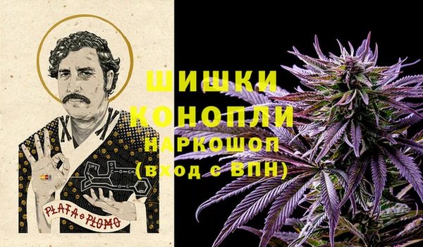 хмурый Липки